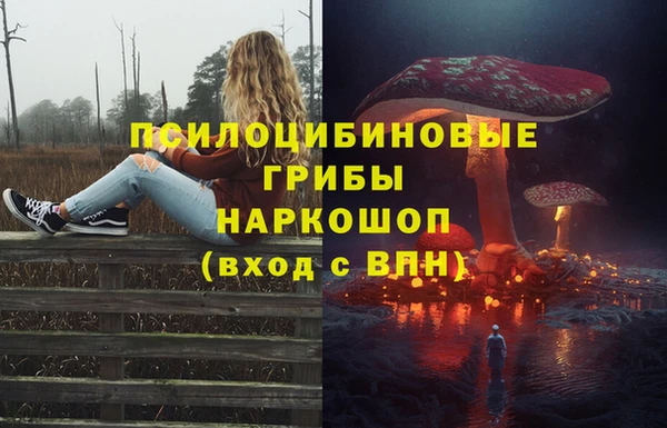 трава Балахна