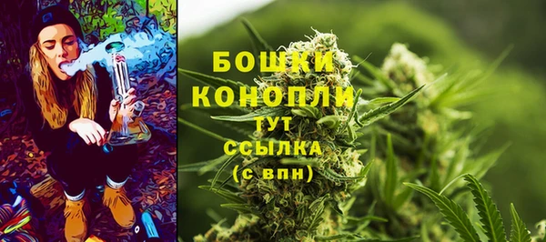 трава Балахна