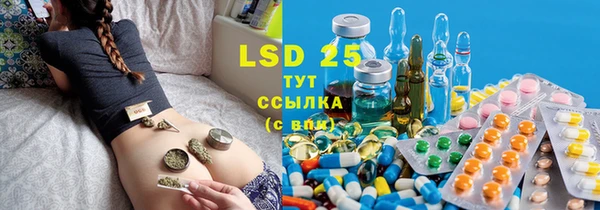 PSILOCYBIN Балабаново