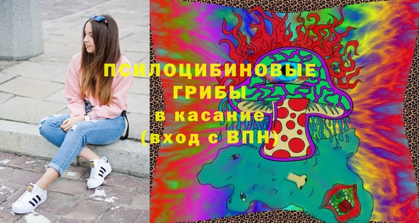 PSILOCYBIN Балабаново