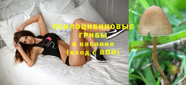 PSILOCYBIN Балабаново