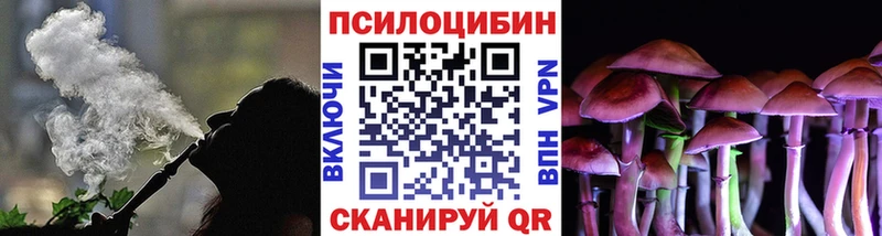Псилоцибиновые грибы Psilocybe Верхний Уфалей