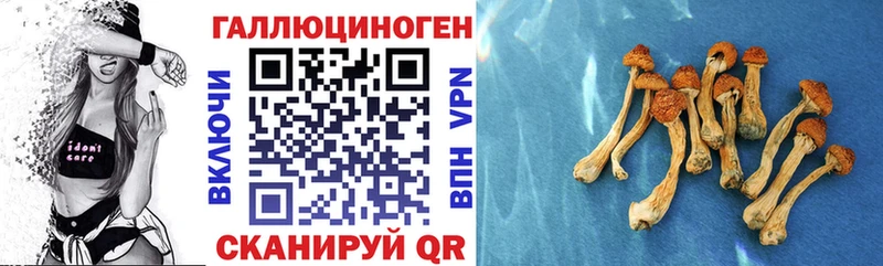 Псилоцибиновые грибы мухоморы  продажа наркотиков  Верхний Уфалей 