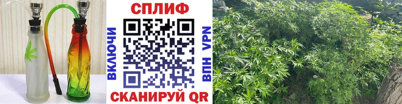 Бошки Шишки марихуана  Верхний Уфалей 